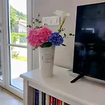 Elicriso *