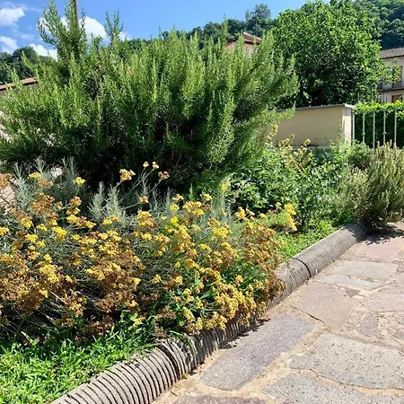 Elicriso Apartman *
