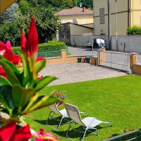 Elicriso * Barga